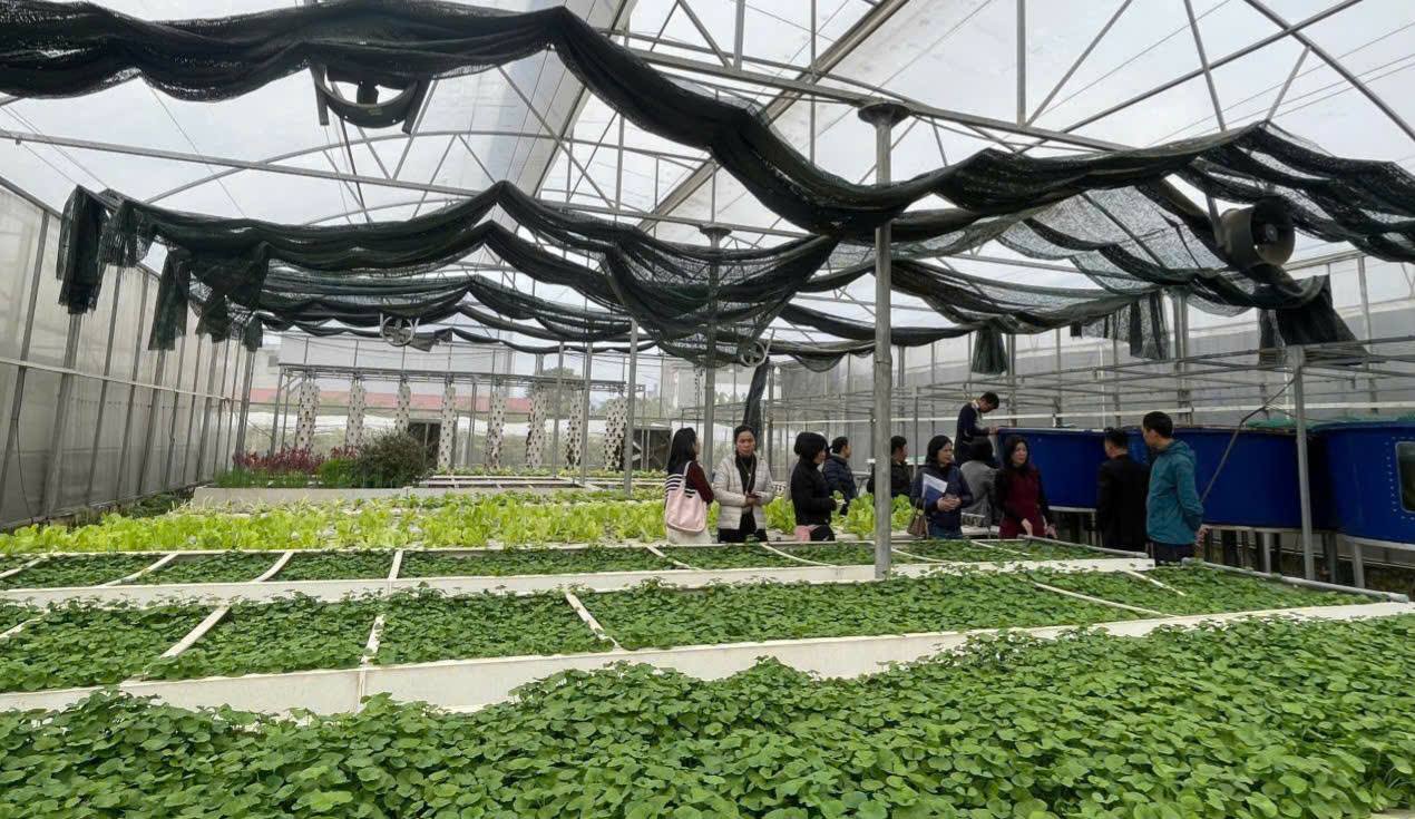 Я верю тебе